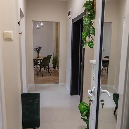 公寓 Mirror Nest Pulse Location 索菲亞